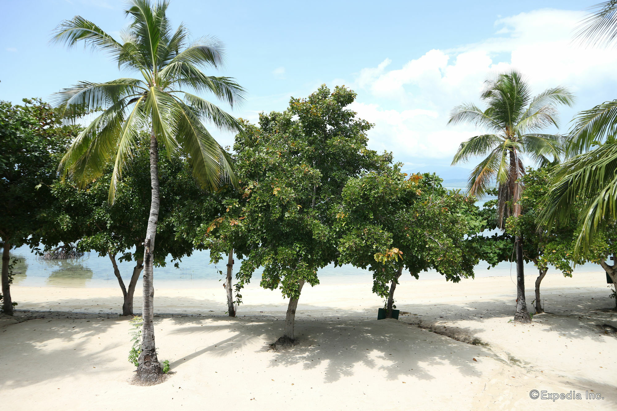 Dos Palmas Island Resort & Spa Puerto Princesa Exteriör bild